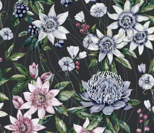 91324-Passiflora-Black-Product_web