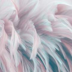 Другие цвета