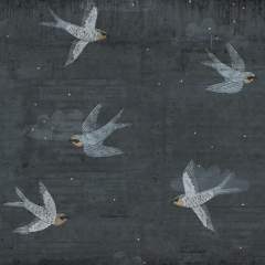 Другие цвета