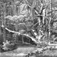 Другие цвета