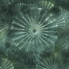 Подходящие товары