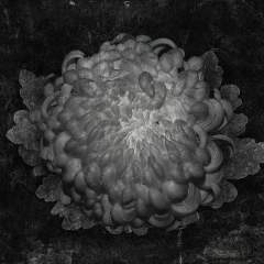 Подходящие товары