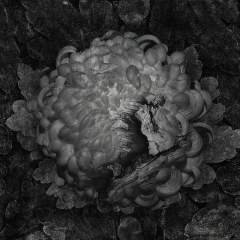 Подходящие товары