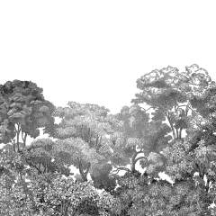 Другие цвета