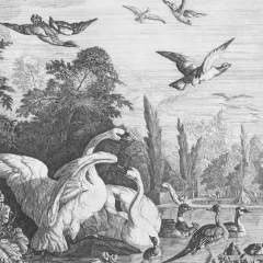 Подходящие товары