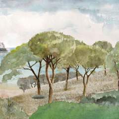 Другие цвета