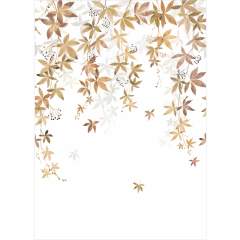 Другие цвета