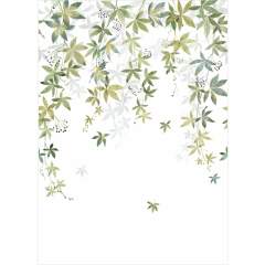 Другие цвета