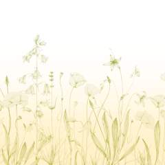 Другие цвета