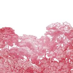 Другие цвета