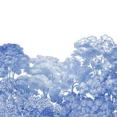 Другие цвета