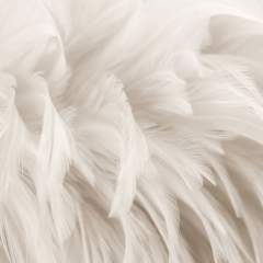 Другие цвета