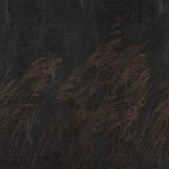 Другие цвета