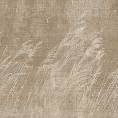 Другие цвета