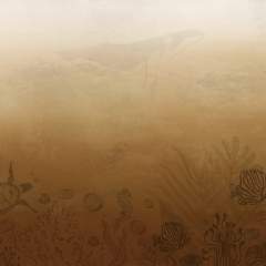 Другие цвета