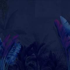 Другие цвета