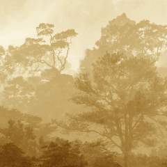 Другие цвета