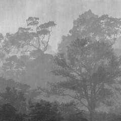 Другие цвета