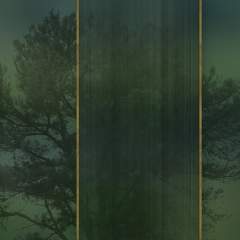 Другие цвета