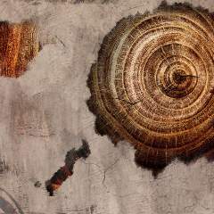 Другие цвета