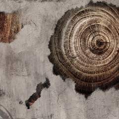 Другие цвета