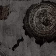 Другие цвета