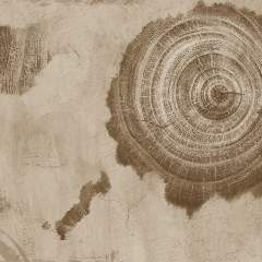 Другие цвета