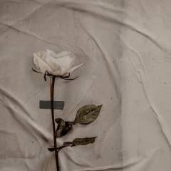 Другие цвета