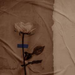 Другие цвета