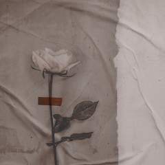 Другие цвета