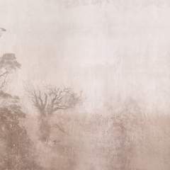 Другие цвета