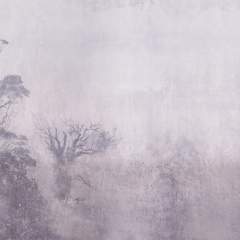 Другие цвета