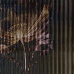 Другие цвета