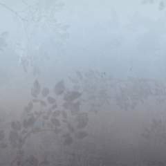 Другие цвета