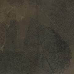 Другие цвета