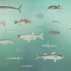 Другие цвета