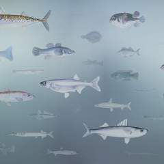 Другие цвета