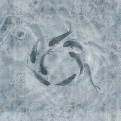 Другие цвета