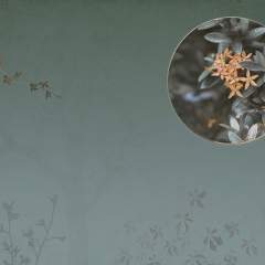 Другие цвета