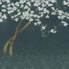 Другие цвета