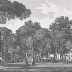 Другие цвета