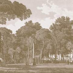 Другие цвета