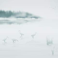 Другие цвета