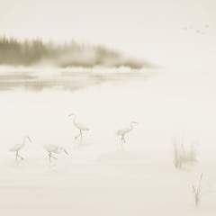 Другие цвета