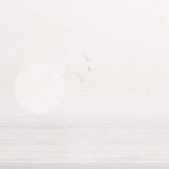 Другие цвета