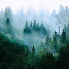 Другие цвета