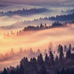 Другие цвета