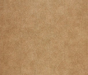Wallpaper Nervure WOOD 26213525