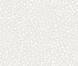 Tapeet Bullae ENCC 84540208