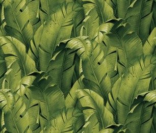 Фотообои Banana Leaf CN32500M